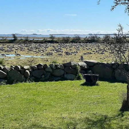 Idyll And Open Spaces On Skaro In The Archipelago